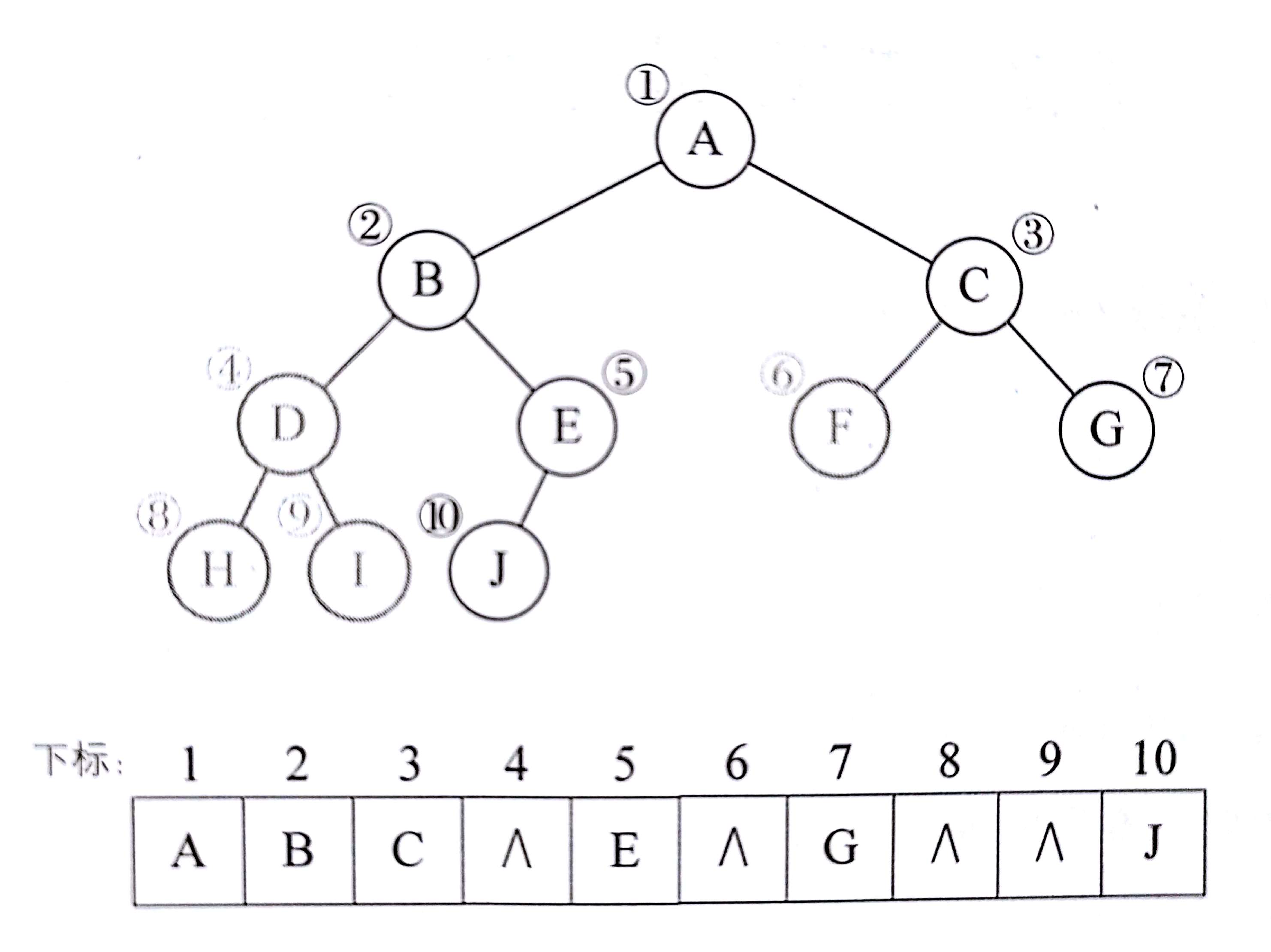 二叉树顺序存储结构